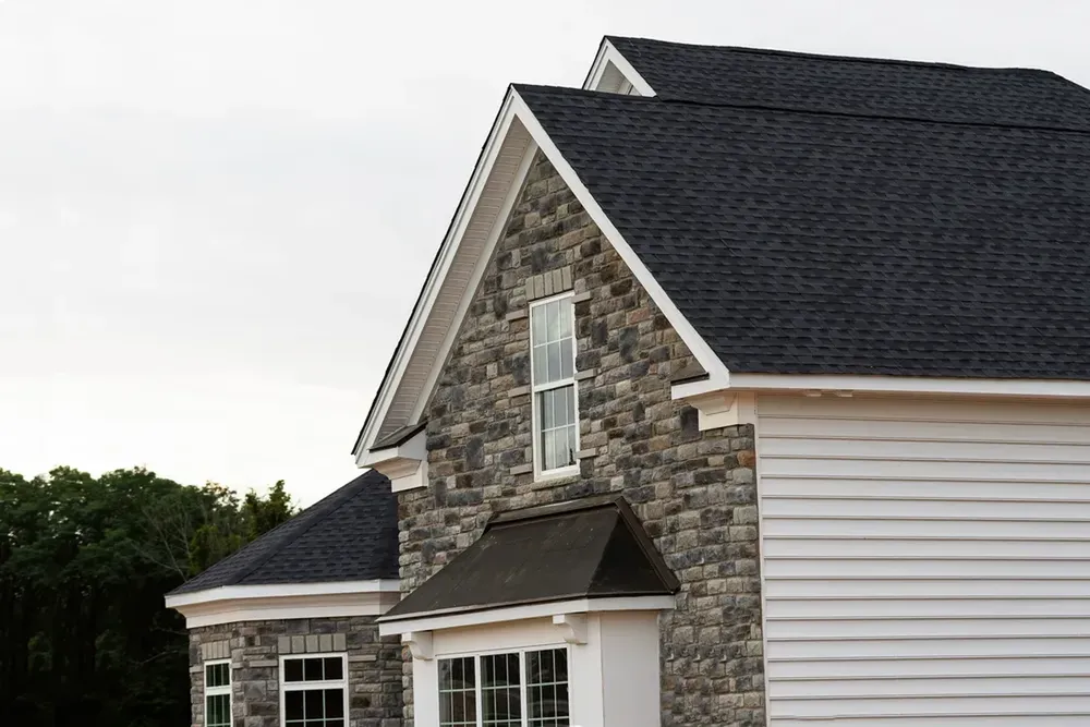 blackroof_1200x800_result