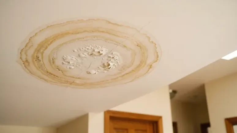 ceiling stain_result
