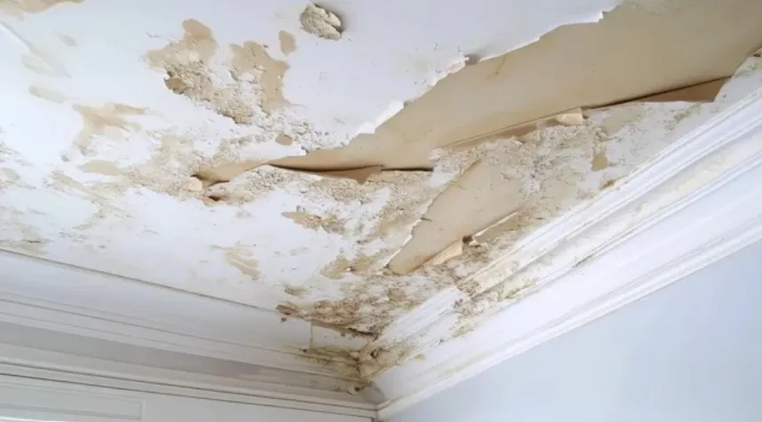 roofdamage_result